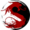 Shadow Warrior