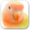 Birds Evolution