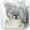 Mac OS X Snow Leopard Wallpapers