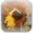 Topaz Simplify