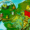 Asterix and the Great Rescue