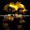 Battlefield 2142