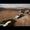 Colin McRae: Dirt