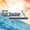 Microsoft Flight Simulator X