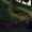 Psychonauts