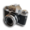 SnapaShot