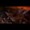 StarCraft II