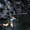 Tomb Raider: Anniversary